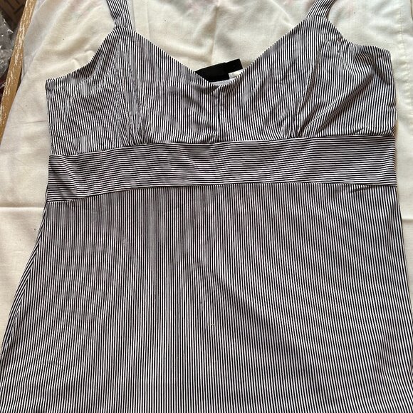 tStretch blue-stripe tank-top from The Limited, Size Large - Picture 1 of 3